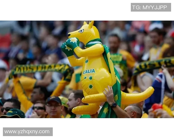 球迷行为学研究