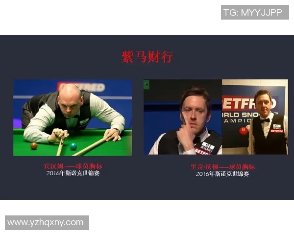 体育法律案例回顾